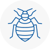 Bed Bug Extermination In Great Baddow