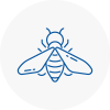 Bee Nest Removal Great Baddow
