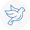 Bird Prevention Great Baddow