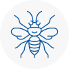 Great Baddow Hornet Nest Removals