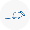 Mice Exterminators In Great Baddow