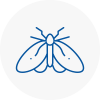 Moth Control Specialists In Great Baddow