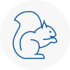 Great Baddow Rodent Removals